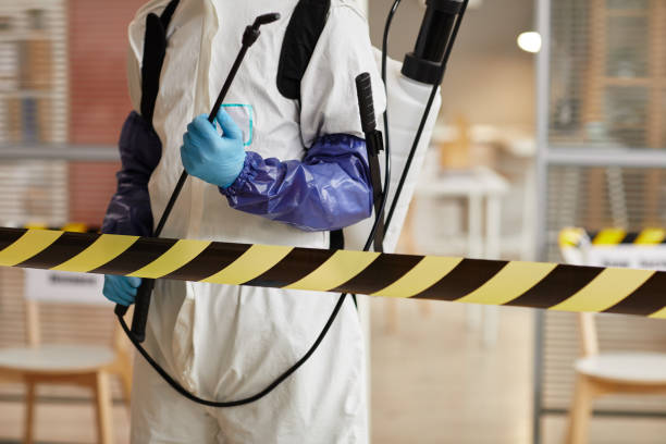 Professional Odor Removal technician working in Crestline, OH
